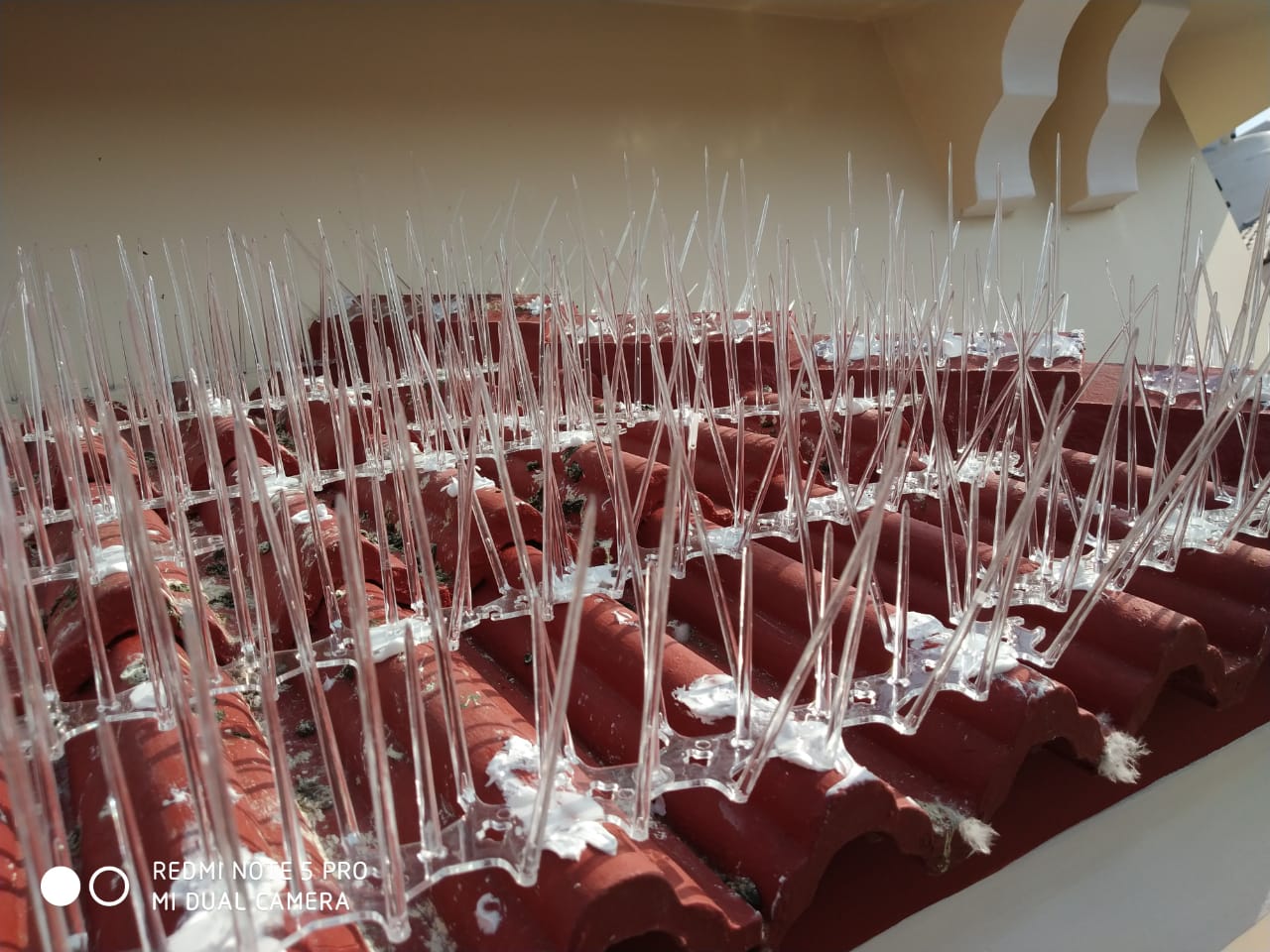 Bird spikes on balcony railing